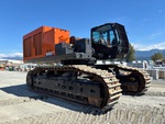 General Appearance with Zdjęcie, prawy górny róg