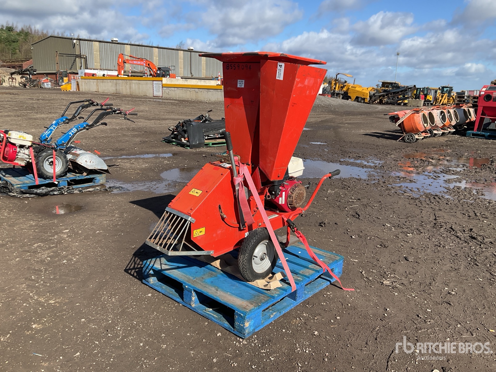 General Appearance with Bild, Ecke vorne links