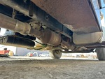 Engine with Exhaust System