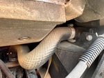 Engine with Radiator
