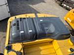 General Appearance with Paint