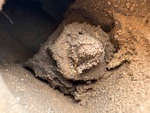 Undercarriage with Left Track Tensioner