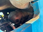 Engine with Exhaust System