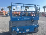 General Appearance with Paint