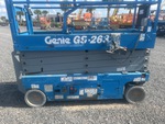 General Appearance with Paint