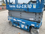 General Appearance with Paint