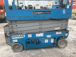 General Appearance with Paint