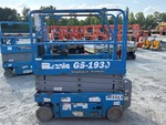 General Appearance with Pintura