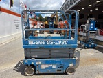General Appearance with Pintura