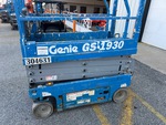General Appearance with Pintura