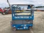 General Appearance with Pintura