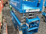 General Appearance with Paint