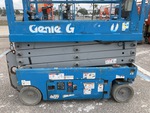 General Appearance with Paint