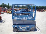 General Appearance with Paint