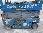General Appearance with Paint