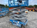 General Appearance with Pintura