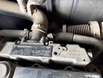 Engine with Exhaust System