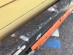 General Appearance with Paint