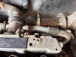 Engine with Exhaust System