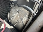 Engine with Exhaust System