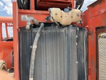 Engine with Radiator