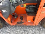 General Appearance with Paint