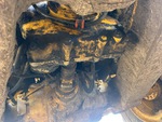 Drivetrain with Transfer Case / Drop Box