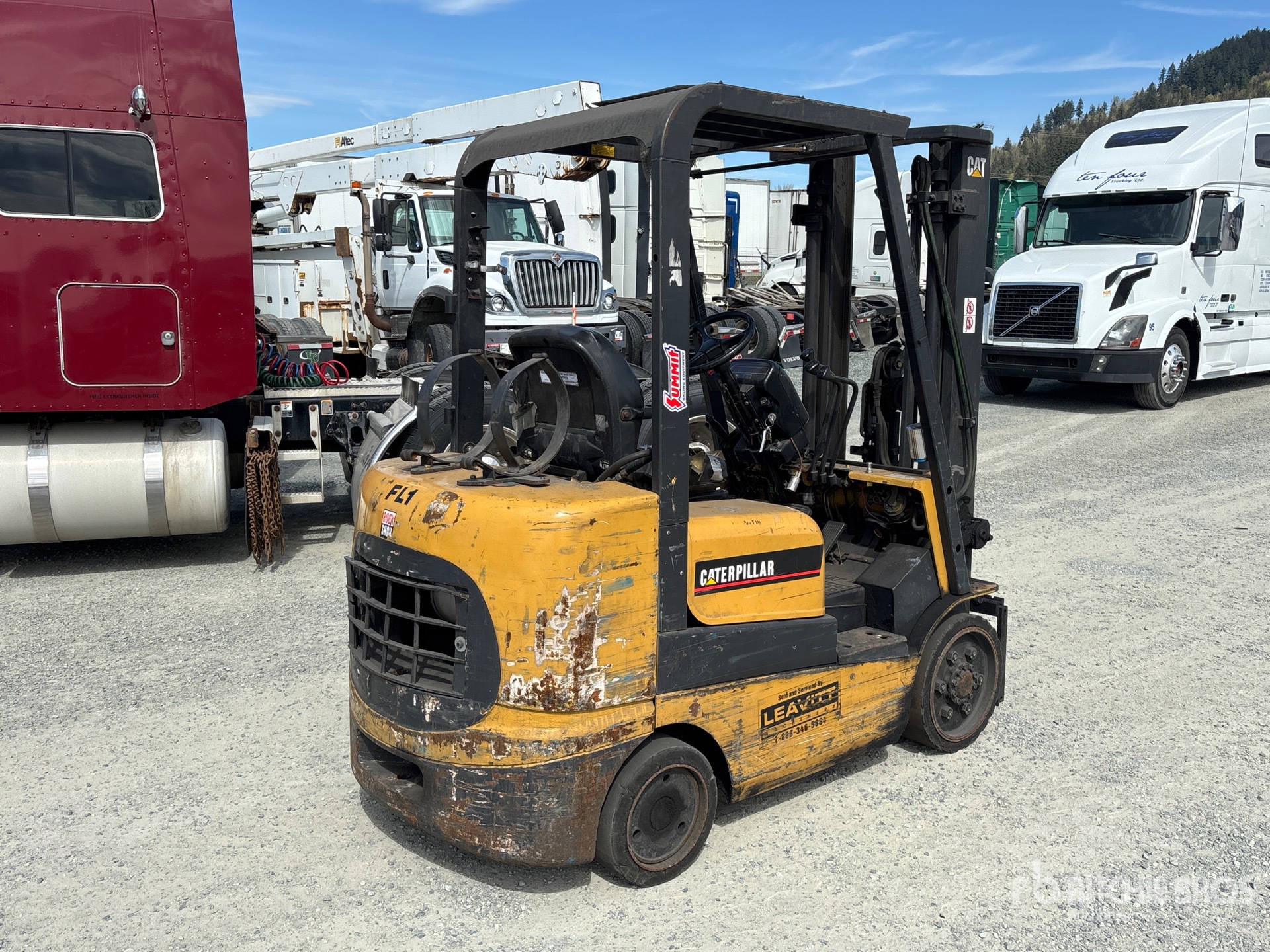 General Appearance with Zdjęcie, prawy dolny róg