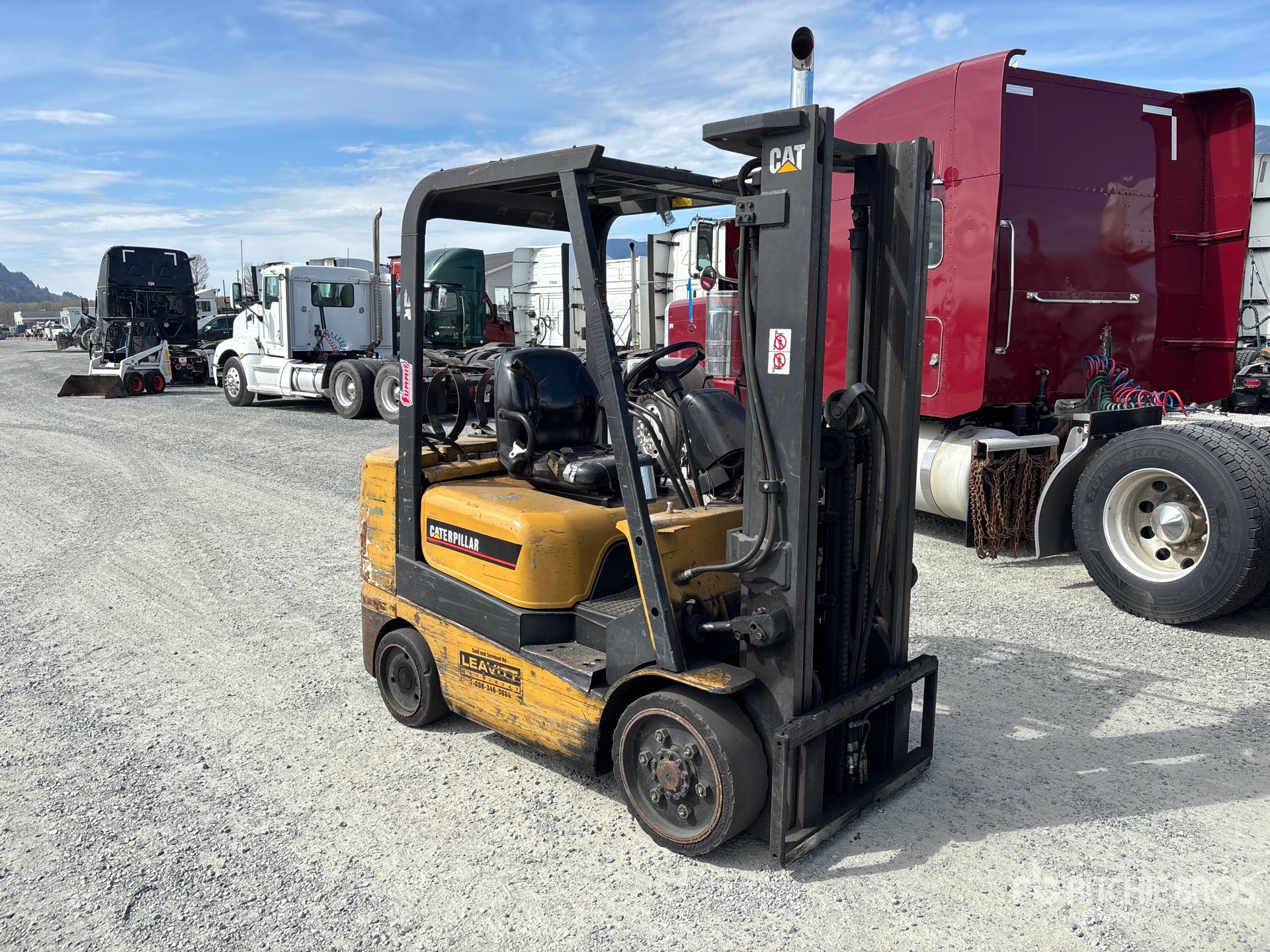 General Appearance with Zdjęcie, prawy górny róg