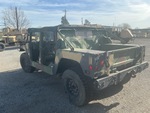 General Appearance with Paint