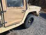 General Appearance with Paint