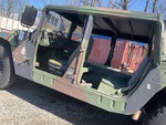 General Appearance with Paint
