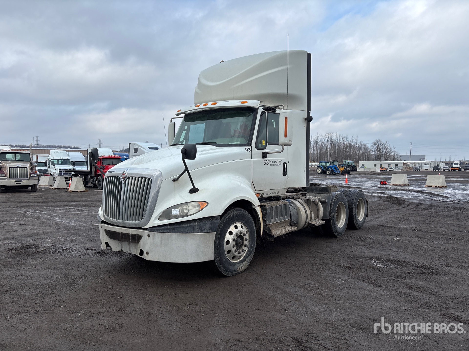 General Appearance with Spin