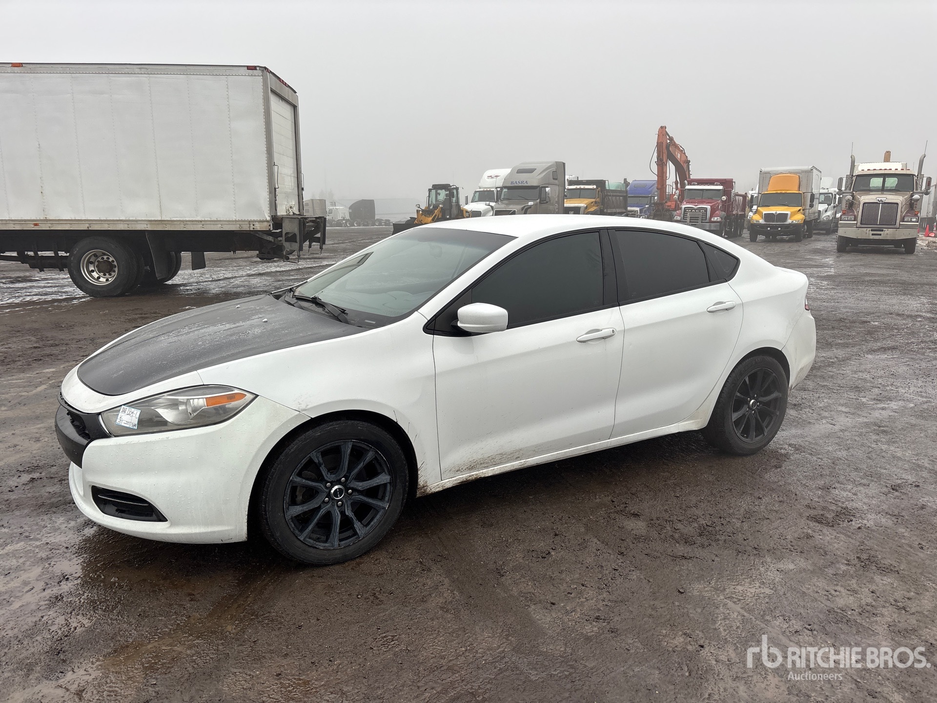 General Appearance with Spin