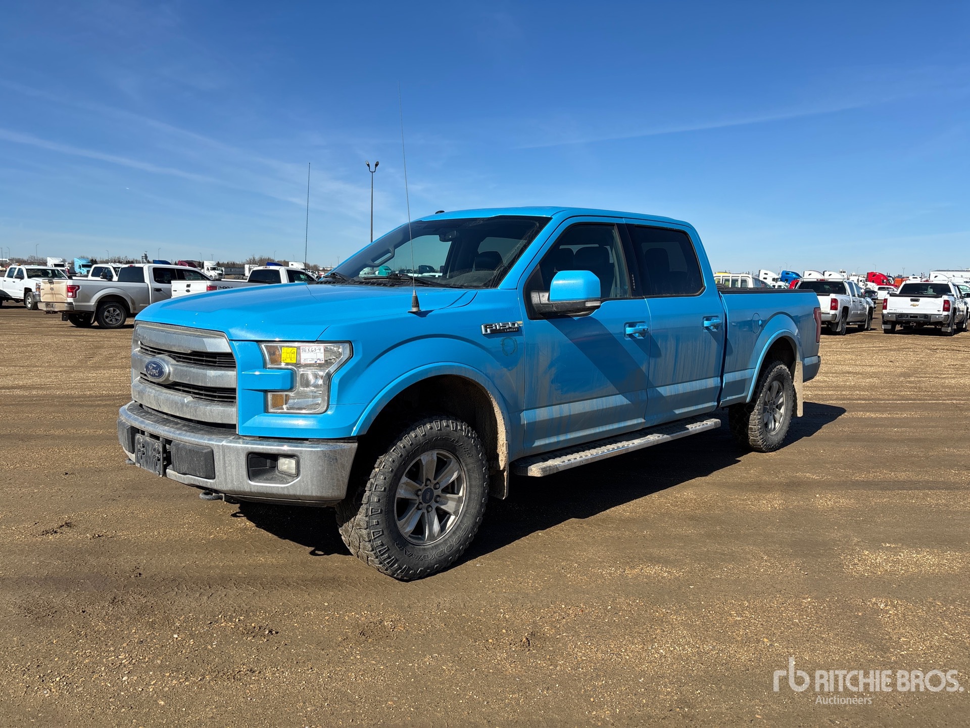 General Appearance with Spin