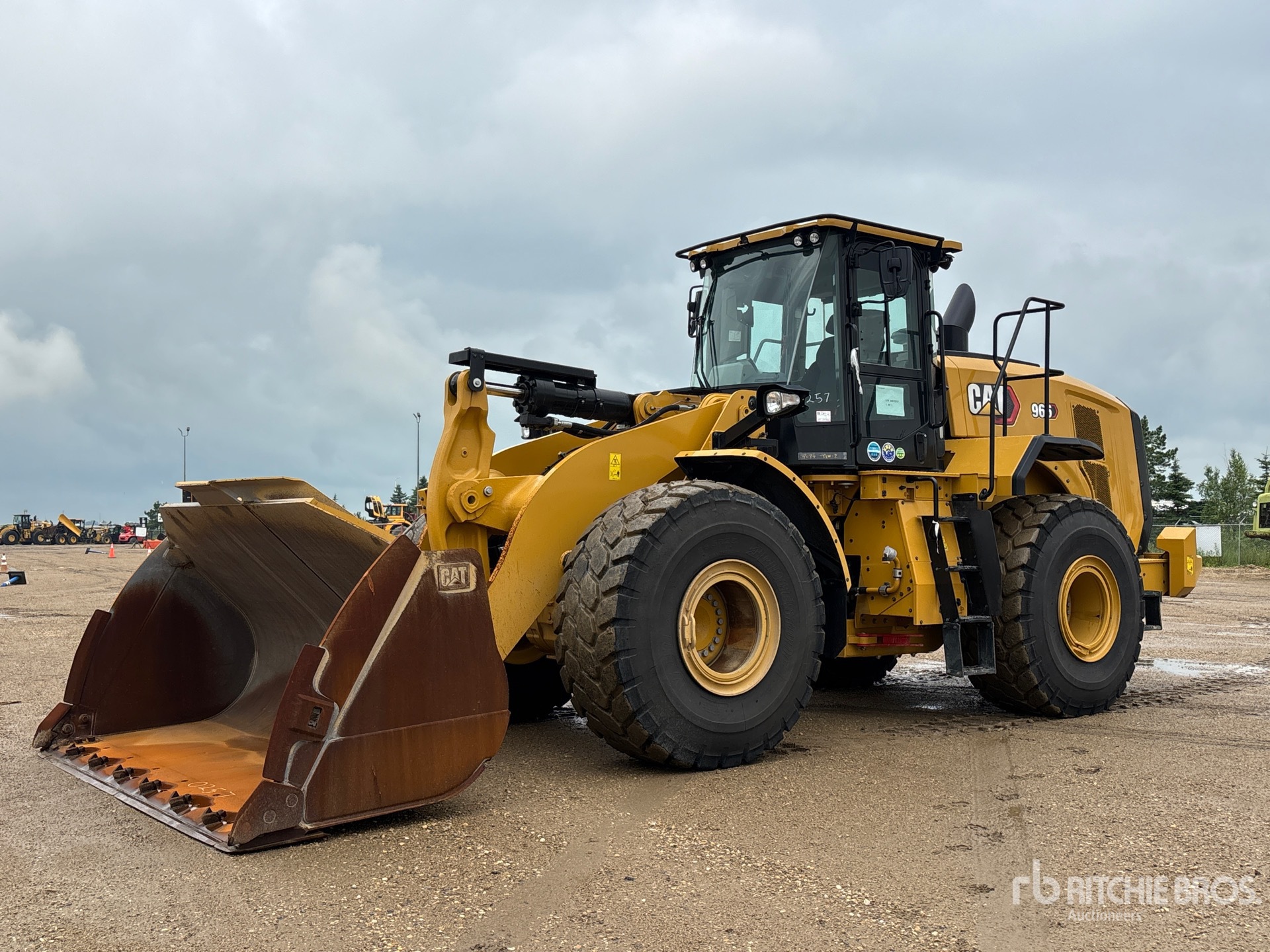 General Appearance with Spin