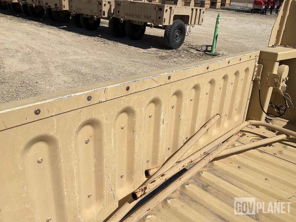 General Appearance with Paint