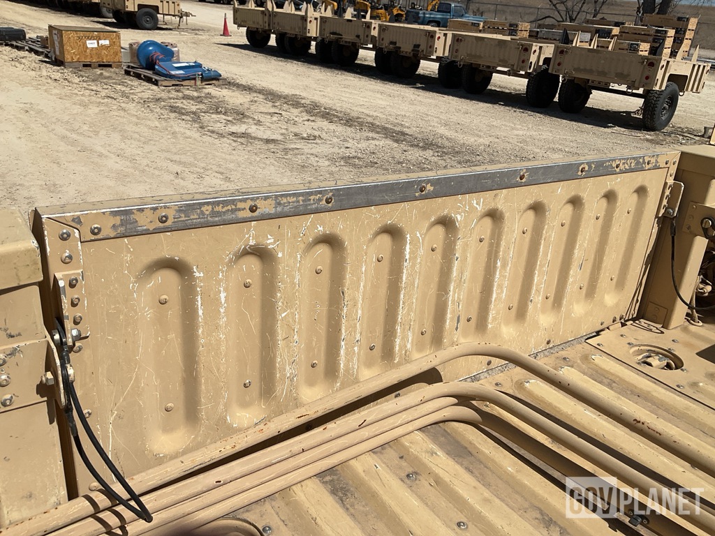 General Appearance with Paint