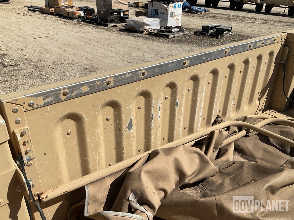 General Appearance with Paint
