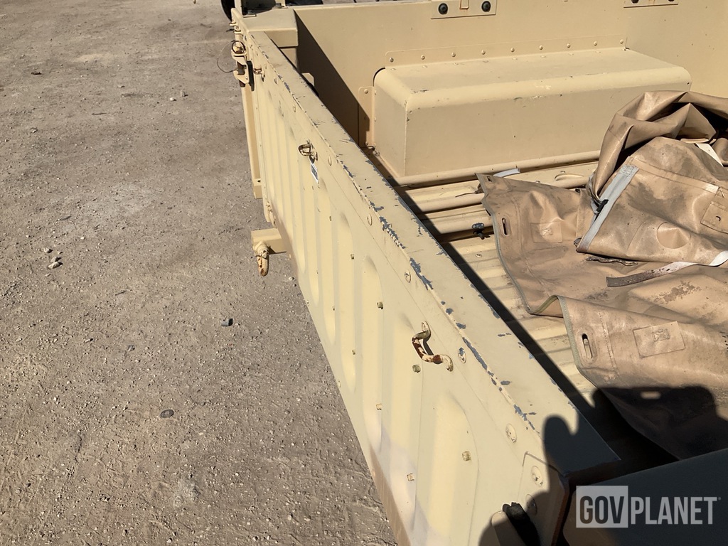 General Appearance with Paint