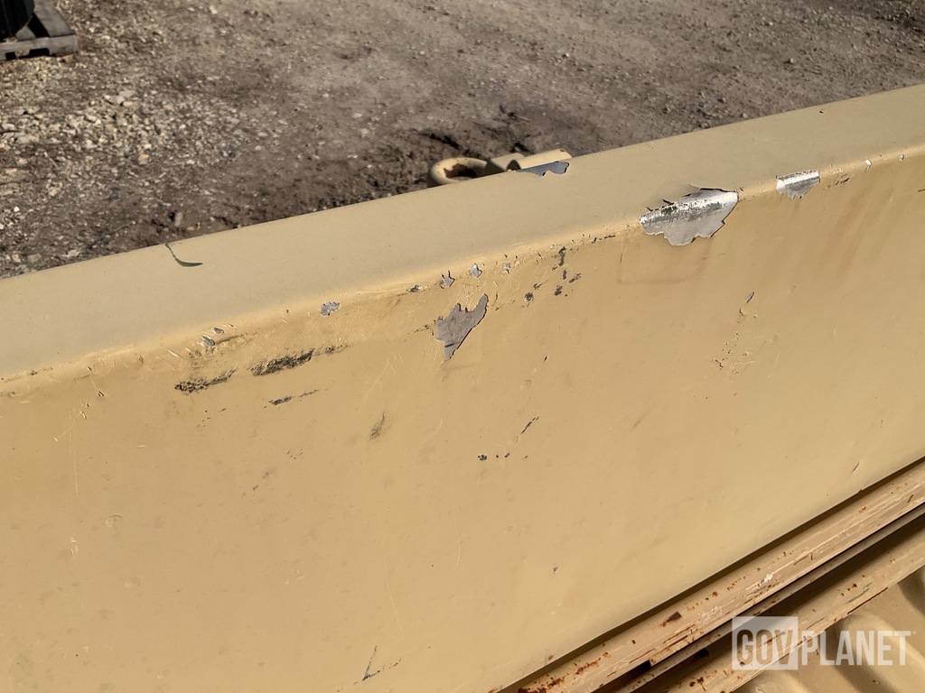 General Appearance with Paint