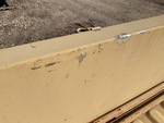 General Appearance with Paint