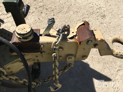 General Appearance with Paint