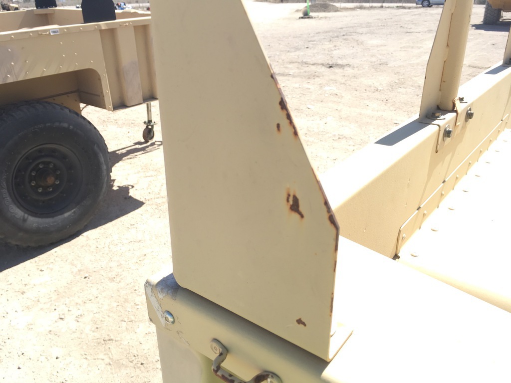 General Appearance with Paint
