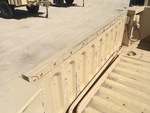 General Appearance with Paint