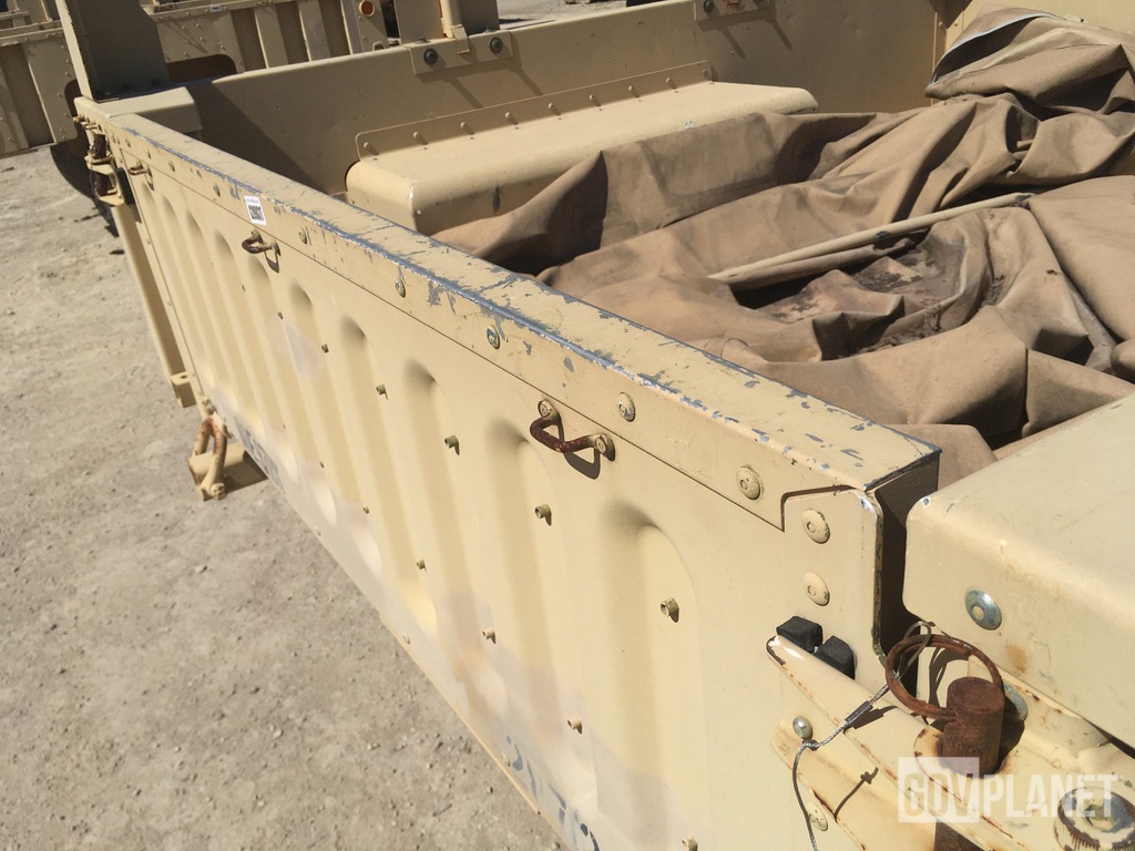 General Appearance with Paint