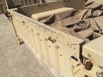 General Appearance with Paint
