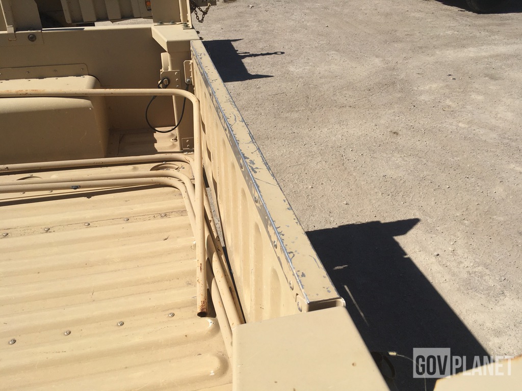 General Appearance with Paint