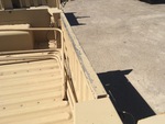 General Appearance with Paint