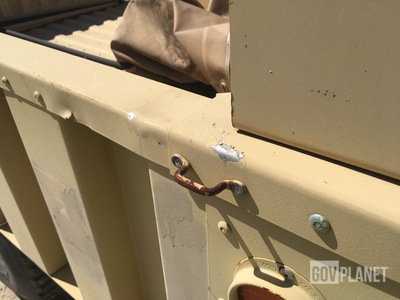 General Appearance with Paint